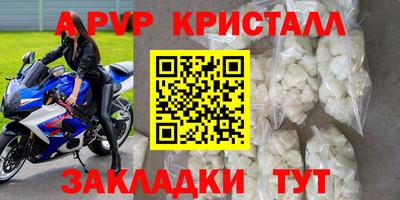 скорость Кингисепп