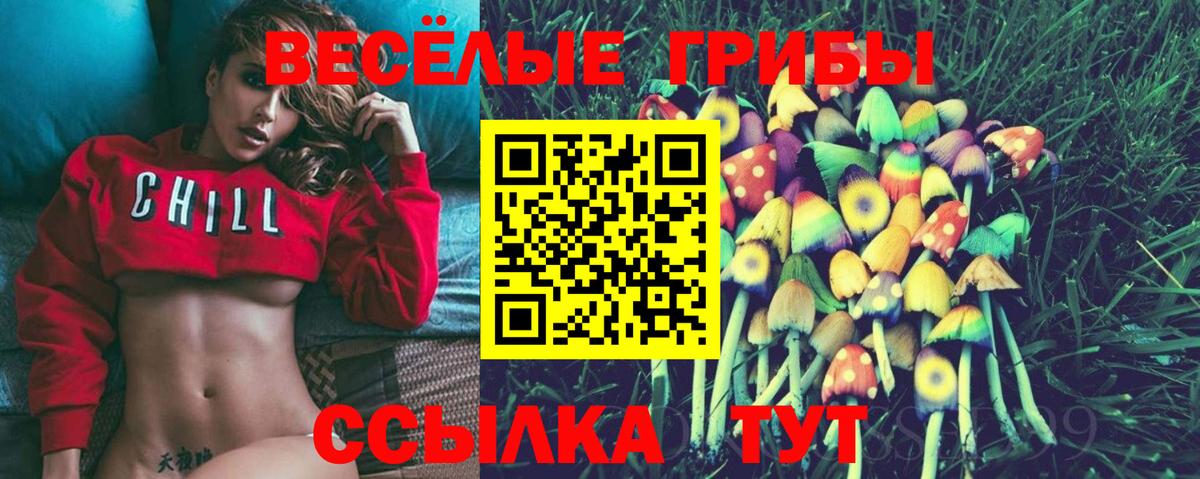 Валуйки  Галлюциногенные грибы GOLDEN TEACHER  Галлюциногенные грибы GOLDEN TEACHER  Вход с VPN 